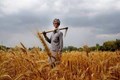 PM Kisan Yojana: Government Takes Steps To Address Mapping of PM Kisan Beneficiaries