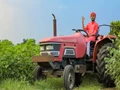 Over 64,000 Farmers Benefitted From TAFE’S Free Tractor Rental Scheme