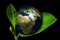 World Ozone Day: History, Significance and Theme