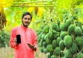 PM Kisan App: Apply Before 30 September to Get Rs 4,000; Details Inside