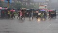 Alert! Monsoon Likely to Intensify Next Week: IMD