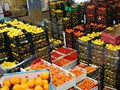 Agriculture Business Ideas: Fruit & Vegetable Export