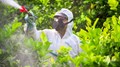 Pesticide License: Eligibility & Application Procedure Inside