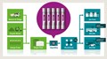 Compressed Biogas: Opportunities Galore for India's Agriculture Industry