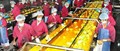 Mixed Crop Outlook Squeeze Mango Pulp Prospects