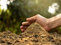 What Is Bio-Fertilizer & What Are Its Uses, Benefits
