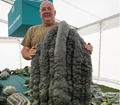 Meet the Farmers Who Broke ‘Guinness World Records’ at Giant Vegetable Contest