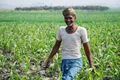 PM Kisan: Good News! 10th Installment to be Disbursed on this Date