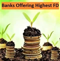 Private Banks Offering Highest Fixed Deposit Returns