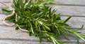 5 Incredibly Useful Herbs That Can be Grown at Home