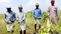 Landless farmers in Odisha to get the loan through joint liability group
