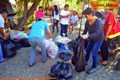 Biodegradable Waste to be Converted in Green Fertilizer