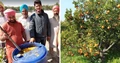 Punjab Farmers are Producing Bio-Enzymes From Kinnow? Know how!