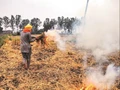 Punjab Agri University Conducts Stubble-Burning Awareness Camp for Farmers