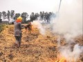 Punjab Agri University Conducts Stubble-Burning Awareness Camp for Farmers