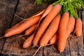 Winter Vegetables: 5 Best Winter Crops for Your Garden