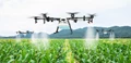 Five Reasons To Explore Smart Farming For Crop Insurance