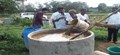 Natural Farming Benefitted One Lac Farmers in 200 Villages under 20 Clusters