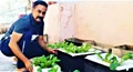 Man Grows 150 + Varieties of Veggies, Fruits & Medicinal Plants in His Terrace