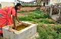 Mexico to Set Up Plant in India to Produce Biodigesters to Convert Cattle Dung to Energy