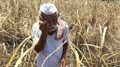 Kerala to Establish a Consolidated Fund to Compensate Farmers Suffering From Crop Loss