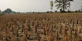 A Haryana Farmer Earns Rs.50 Lakh By Selling Stubble; PM Modi Praises Him