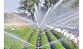 Rs 5,000-Crore Fund to bring more land area under Micro-Irrigation