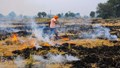 Stubble Burning: NABARD, nurture.farm & NABFOUNDATION Join Hands to #ENDTHEBURN