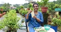 Terrace Gardening: Woman Earns Rs 85000 By Growing Jasmine Flowers