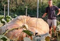 Farmer Grows ‘Monster Pumpkin’ that is Heavier than a Small Car
