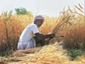 CM K Chandrashekar Rao Accuses Centre of Not Buying Paddy