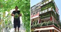 Journalist Turns His Home into a Hydroponics Farm, Earns More Than Rs. 60 lakh Yearly