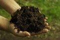 Natural Fertilizer Additive