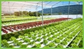 c - A Huge Leap Towards Practical, Economical, and Sustainable Farming