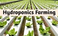 Earn 55000 Monthly Right After Graduation with Hydroponics; This Tirupati Boy Tells How
