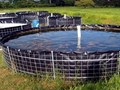 Biofloc Fish Farming Is Gaining Popularity Among Fish Farmers; Training Sessions Organized