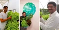8 Startups That Assist you to Set Up Your Own Hydroponics Garden