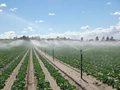 Subsidy on Irrigation Equipment: How to Apply & What Documents Will Be Required