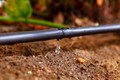 Top 5 Drip Irrigation Companies in India