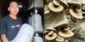 A 13-year-old Boy Begins Mushroom Farming: Know His Success Story