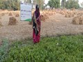 Kitchen Garden Promotes Nutrition