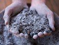 Uses and Benefits of Wood Ash in the Garden
