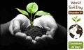 World Soil Day 2021: Together Let's Try to Halt Soil Salinization and Boost Soil Productivity