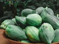 Raw or Ripe Papaya: Which is Best for Your Health