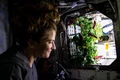 All About NASA’s Farming Experiment in Space