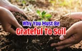 World Soil Day: 15 Reasons To Be Truly Grateful To Soil