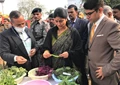 APEDA Organizes ‘Agri-Export Conference cum Buyer Seller Meet’ at Mirzapur