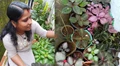 This Kerala Woman Earns Thousands Per Month by Growing Ornamental Plants