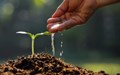 R&D is Vital for the Growth of Crop Protection Sector in India