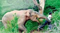 KVIC Launches a Project in Assam to Prevent Elephant-Human Conflict